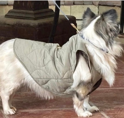 Quilted Sleeveless Pet Vest Olive