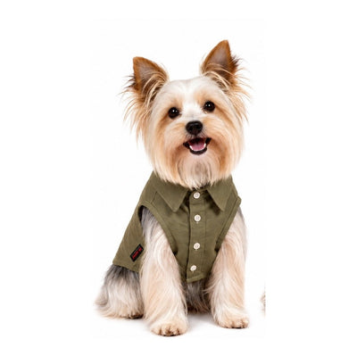 Pawy Breeze Green Polo Shirt