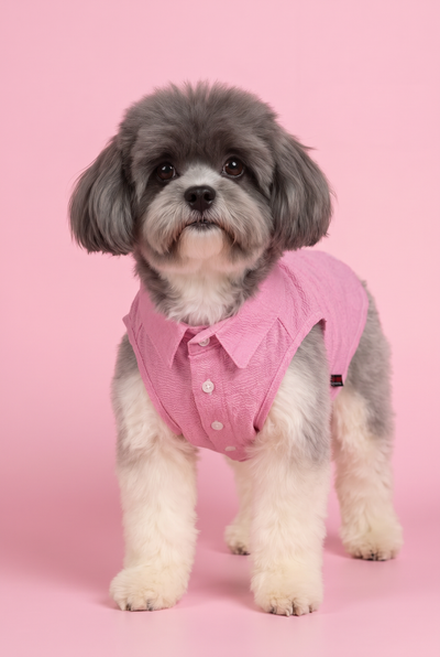 Pawy Breeze Pink Polo Shirt