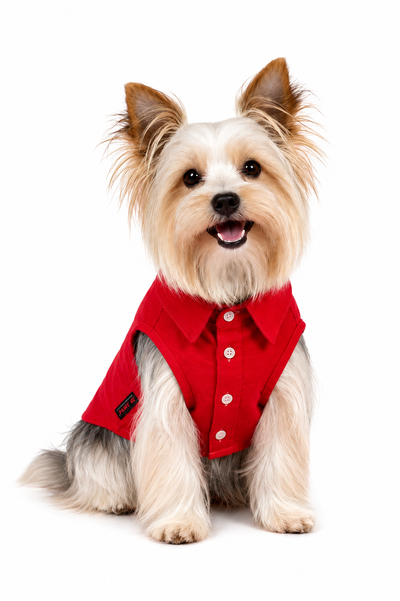 Pawy Red Breeze Polo Shirt