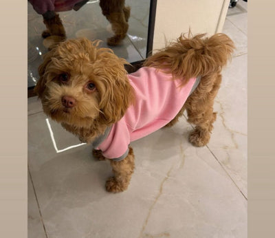 Plain Crewneck Baby Pink