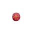 🐾 Squeaky Plastic Pet Ball Toy