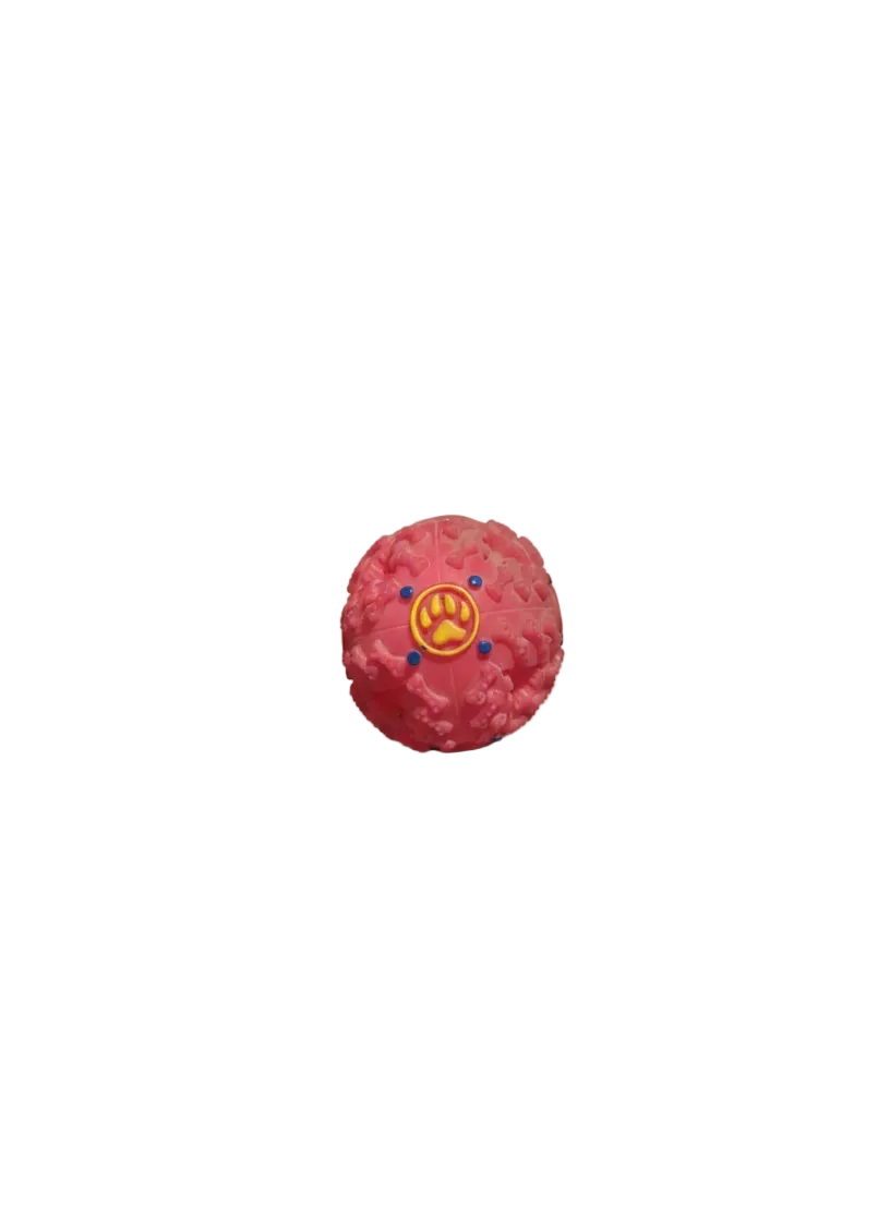 🐾 Squeaky Plastic Pet Ball Toy