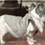 Quilted Sleeveless Pet Vest Olive
