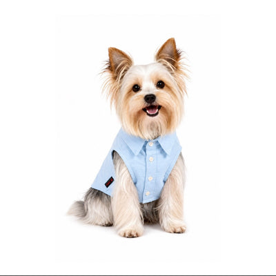 Pawy Breeze Blue Polo Shirt