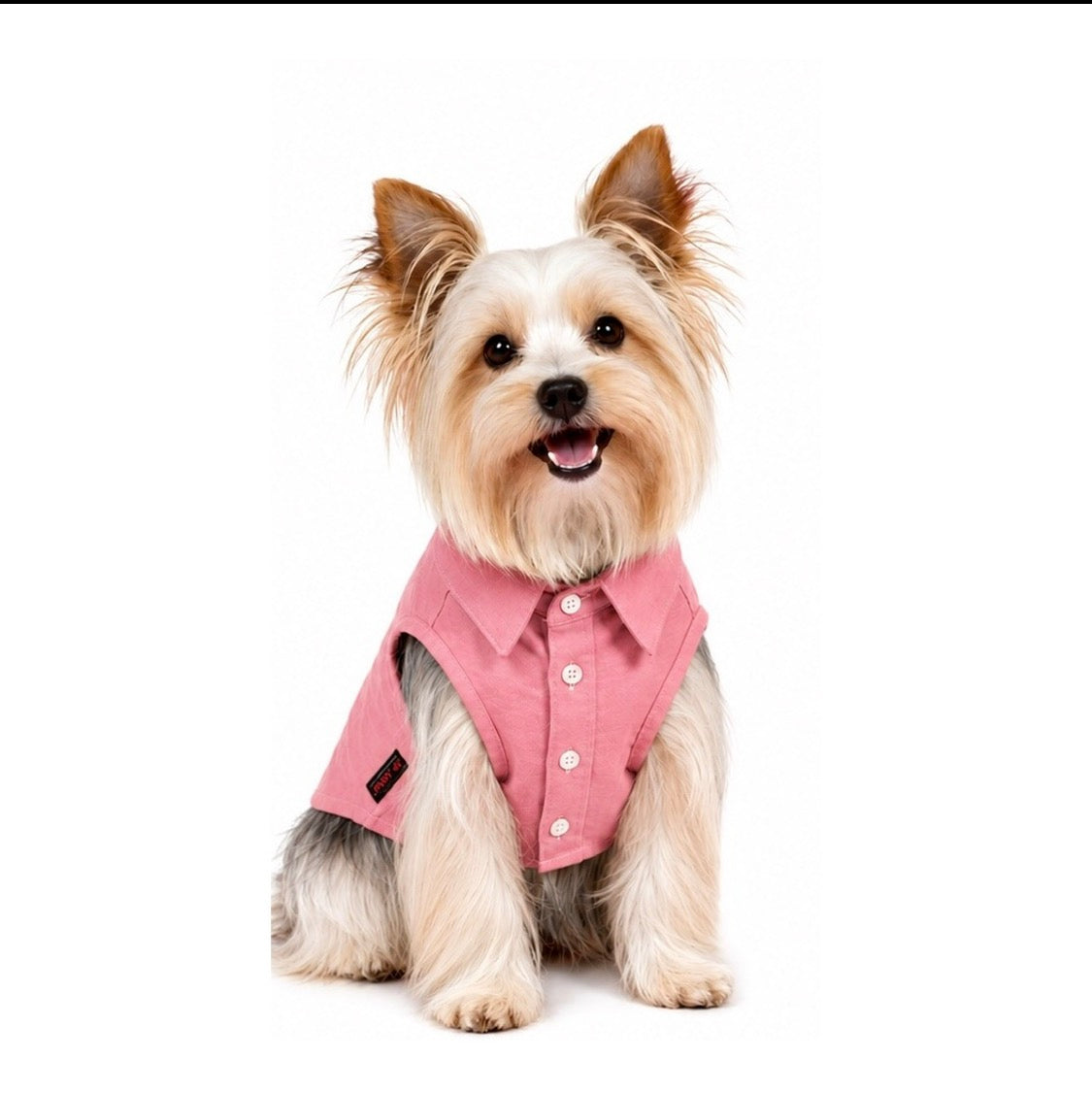 Pawy Breeze Pink Polo Shirt