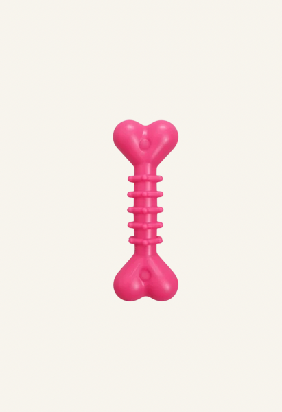 Pawy Dental Chew Bone Toy-Built in Bell
