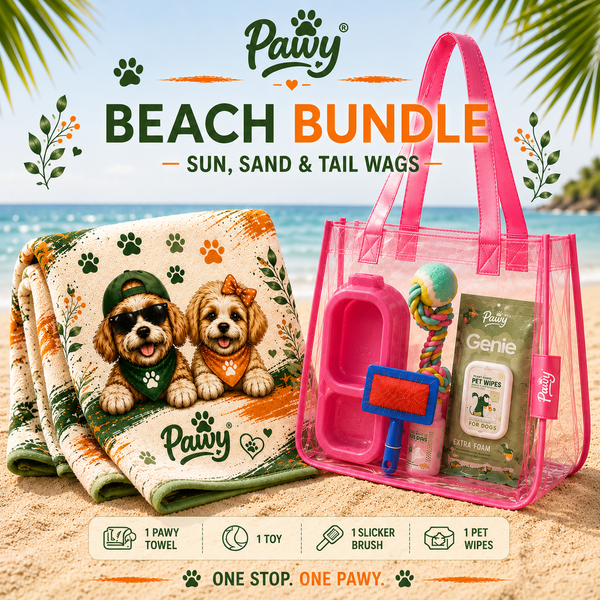 Beach Bag