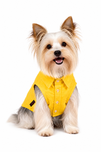 Pawy Yellow Breeze Polo Shirt