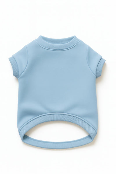 Plain Crewneck Baby Blue