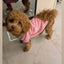 Plain Crewneck Baby Pink